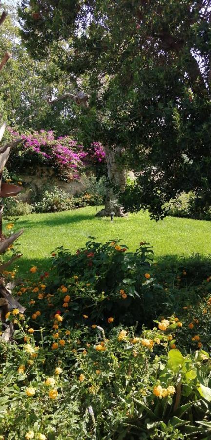 Residence Il Giunco Презичче Экстерьер фото
